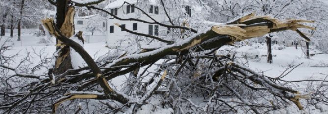 Winter storms clean up