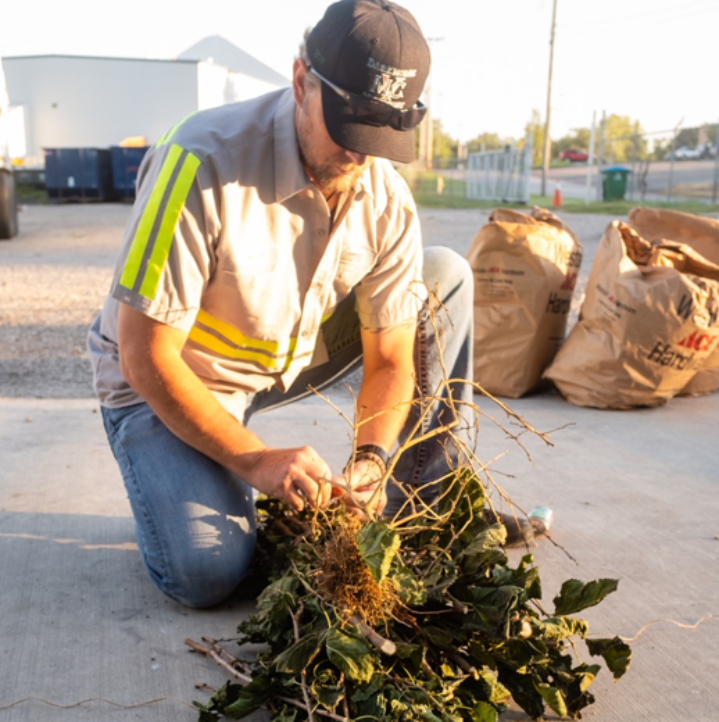 compost connection staff collecting trimmed and pruned leaves