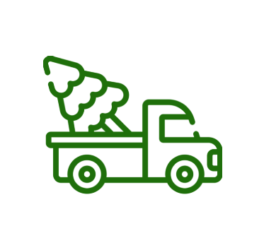 https://compostconnection.com/wp-content/uploads/2023/06/one-time-Christmas-tree-pickup-img.png