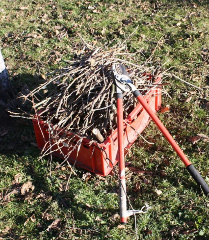 Pickup Guidelines  Compost Connection